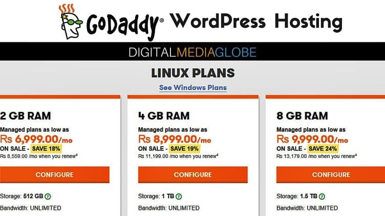 GoDaddy Web Hosting Review - Dedicated Server
