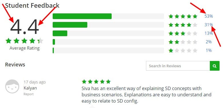 SAP SD Training in Plain English Udemy
