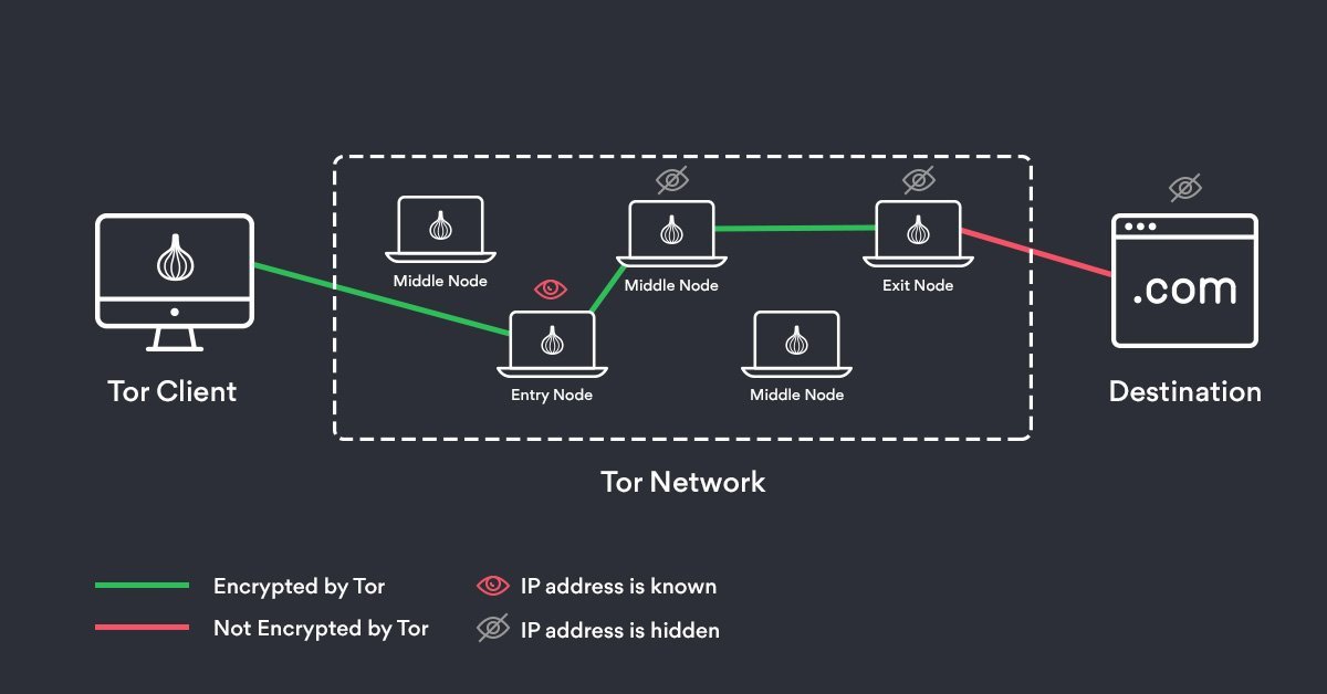 How Tor Network Work DigitalMediaGlobe