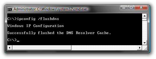 clear dns cache windows 10 powershell