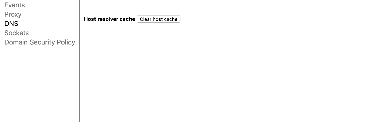 Google chrome clear host cache