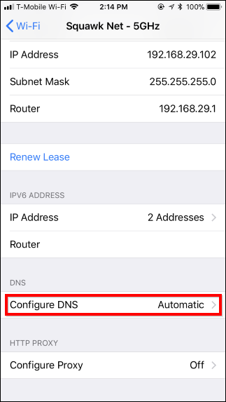 configure DNS setting in iphone or ipad