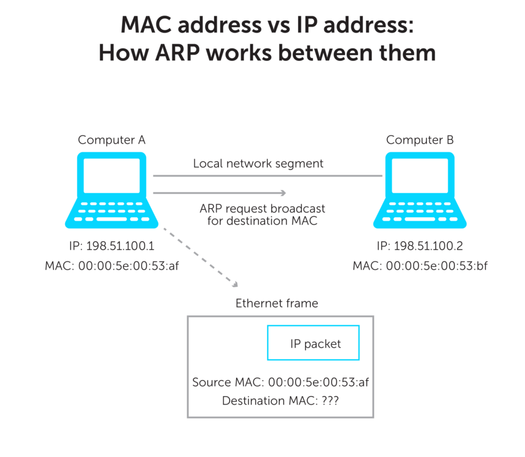 differences-between-ip-address-and-mac-address