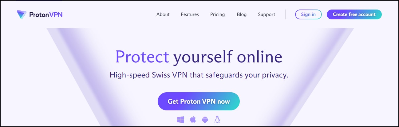 ProtonVPN strict no log VPN