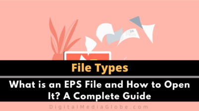 What is an EPS File and How to Open It? A Complete Guide